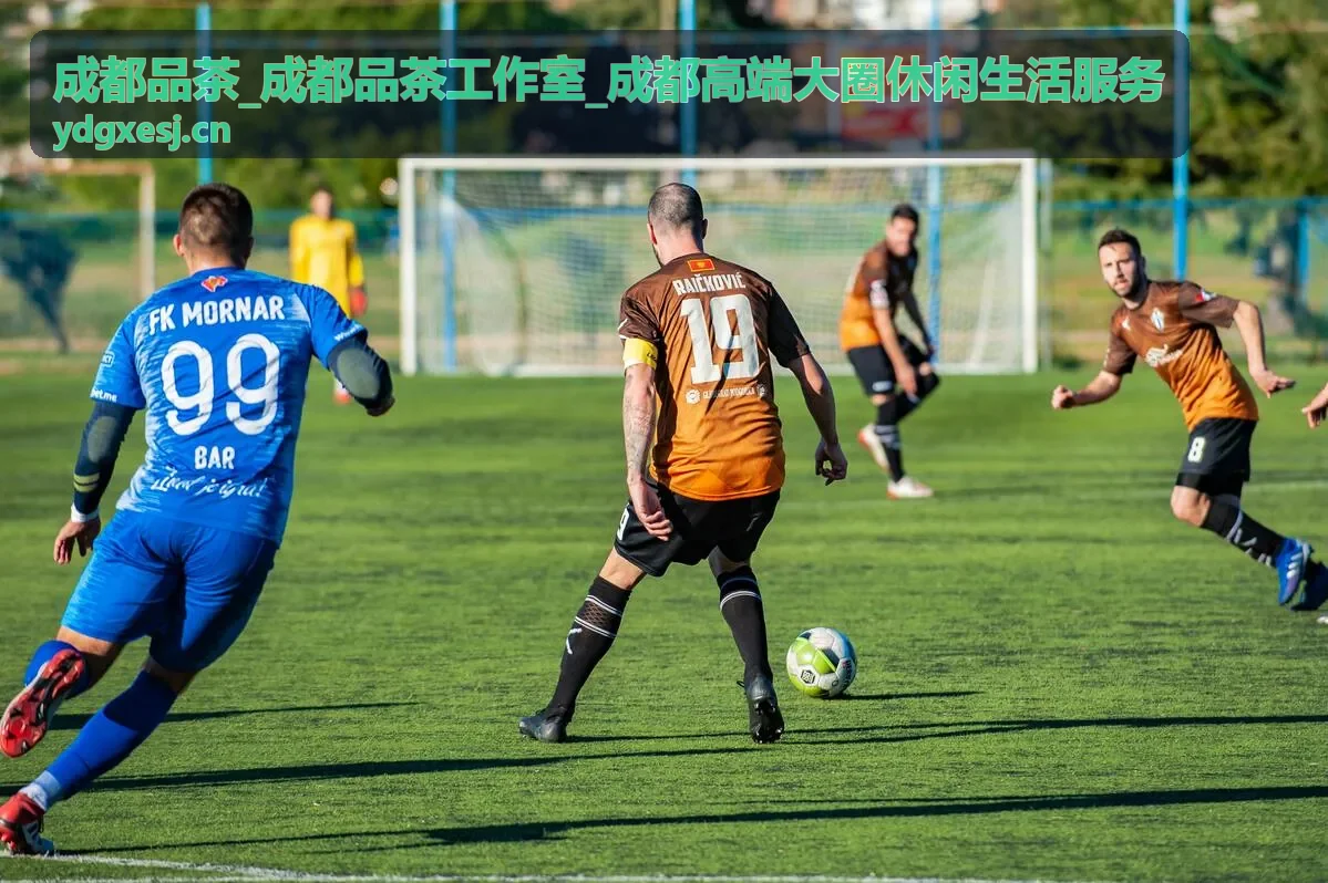 成都品茶工作室静谧雅致的品茶空间
