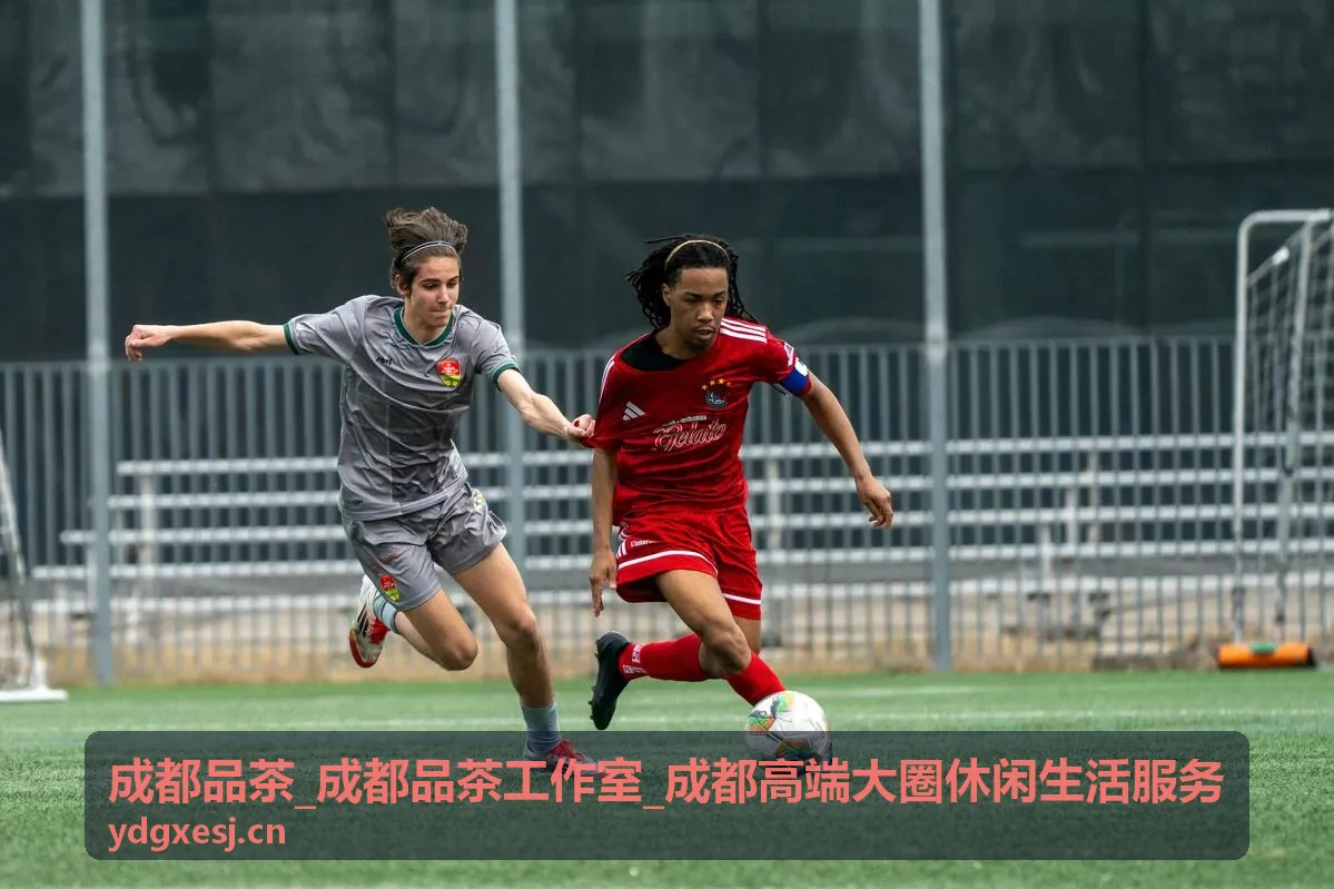 成都高端大圈休闲生活服务品茶场景